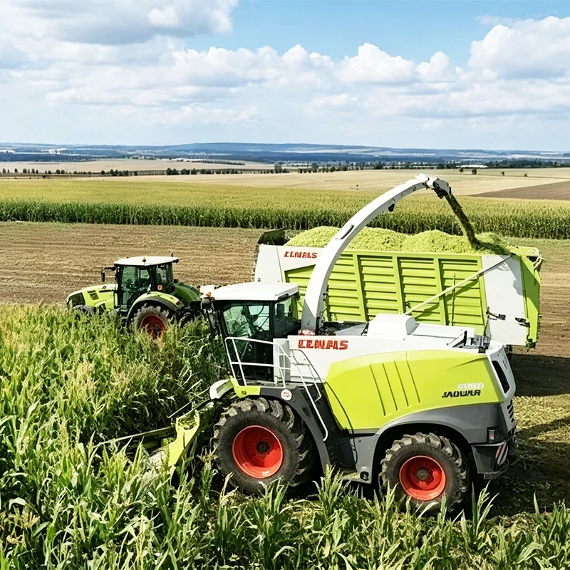 Silagem, forragem e produtos alimentares