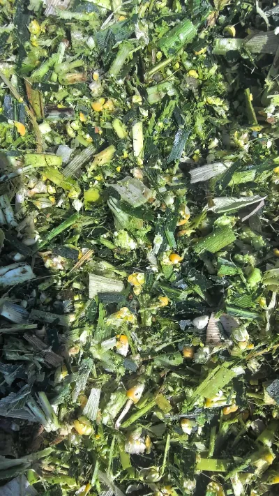 Com os frequentes desafios que ocorrem no armazenamento e transporte global de produtos frescos, como podemos manter a qualidade fresca de ponta a ponta do repolho redondo da Yiman Agricultural?