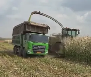 Como otimizar ideias de silagem de milho para aumentar a qualidade da alimentação do gado e o lucro agrícola?