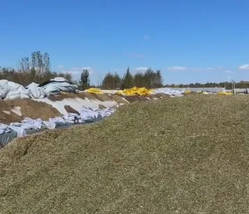 Como construir um poço de silagem durável para armazenamento de forragem agrícola em grandes fazendas de gado?